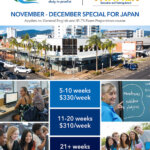 cceb promo nov dec 2018