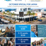 cceb promo oct 2018