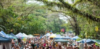 カーニバルオンコリンズ 2018 ケアンズ